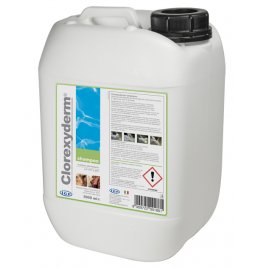 CLOREXYDERM SHAMPOO 5L