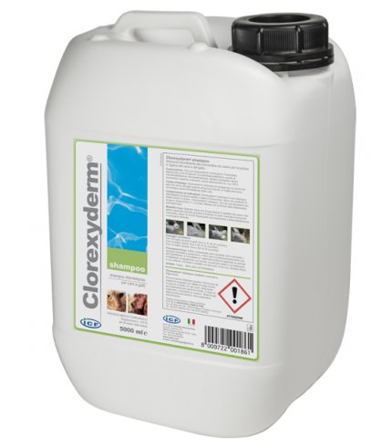 CLOREXYDERM SHAMPOO 5L