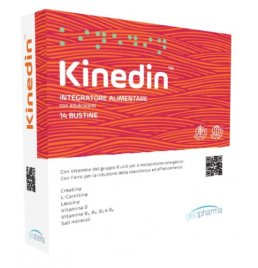 KINEDIN 14BUST