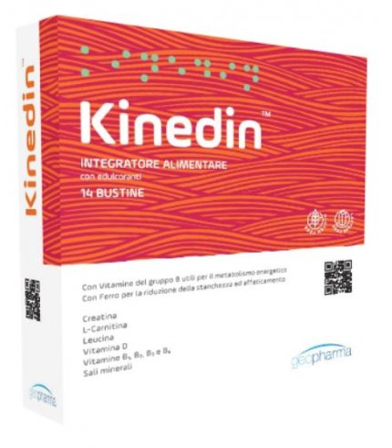 KINEDIN 14BUST