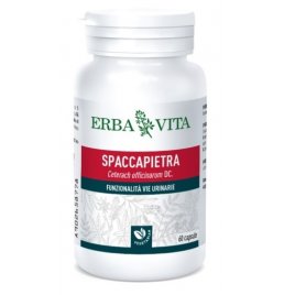 SPACCAPIETRA 60CPS N/F ERBAVIT