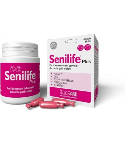 SENILIFE PLUS 60CPS