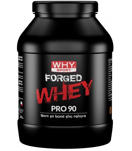 WHYSPORT FORGED WHEY CACAO900G