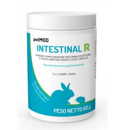 PETMOD INTESTINAL RODITORI 60G