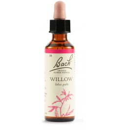 WILLOW BACH ORIG 20ML