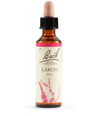 LARCH BACH ORIG 20 ML