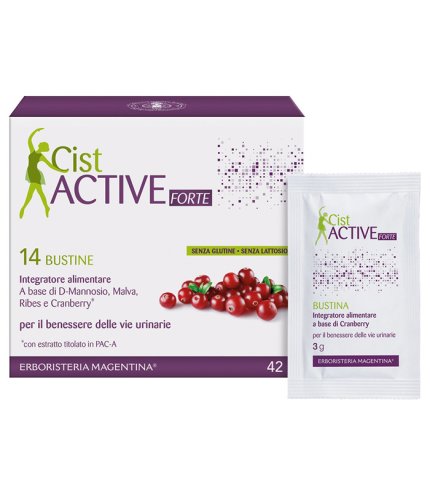 CIST ACTIVE BUSTINE 14BUST