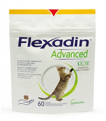 FLEXADIN ADVANCED GATTO 60TAV