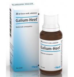 GALIUM 30ML GTT HEEL