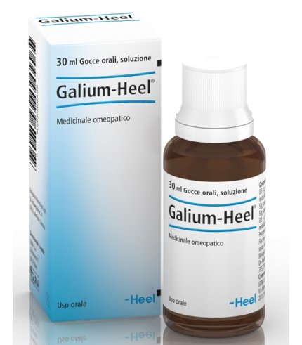 GALIUM 30ML GTT HEEL