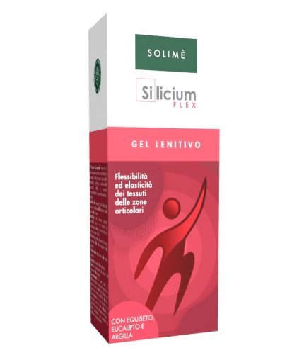 SILICIUM FLEX GEL 100ML