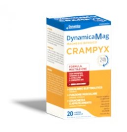 DYNAMICA CRAMPYX 300 20BUST