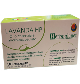 HP LAVANDA 30CPS