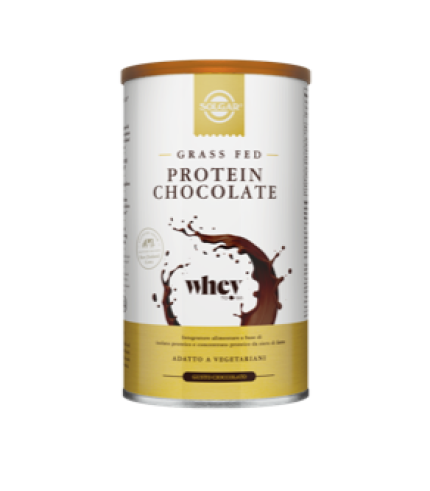 PROTEIN CHOCOLATE 377G
