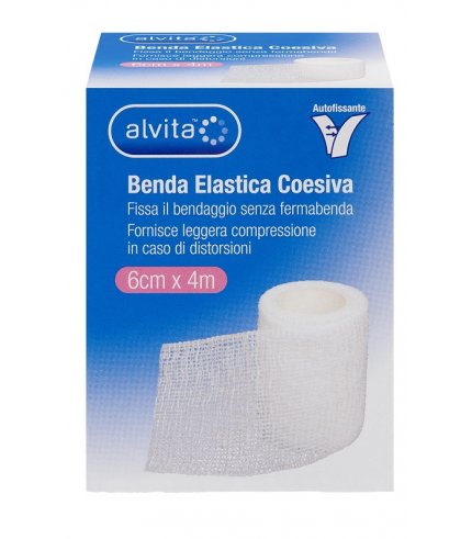 ALVITA BENDA ELASTICA COES 6X4