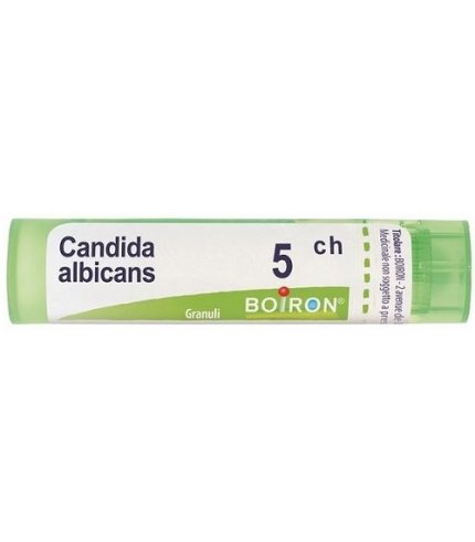 BO.CANDIDA ALB   5CH GR