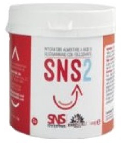 SNS2 100G