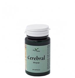 CEREBRAL AYURVED 60CPS