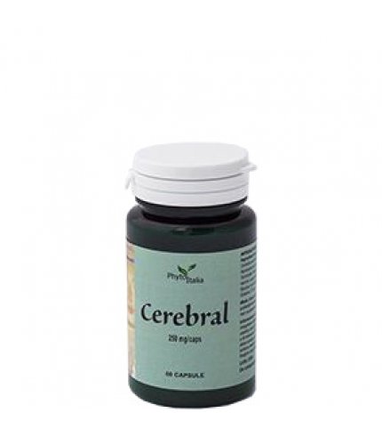 CEREBRAL AYURVED 60CPS