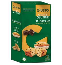 PLUMCAKE GOCCE CIOCCOL S/GL N/