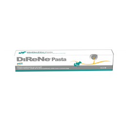 DIRENE PASTA 15ML