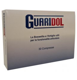 GUARIDOL OSTEO ART 33G