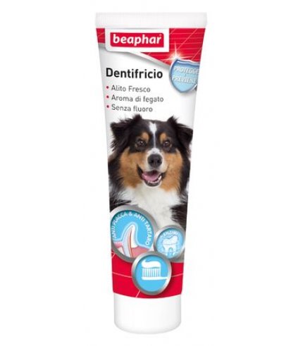 DENTIFRICIO 100G