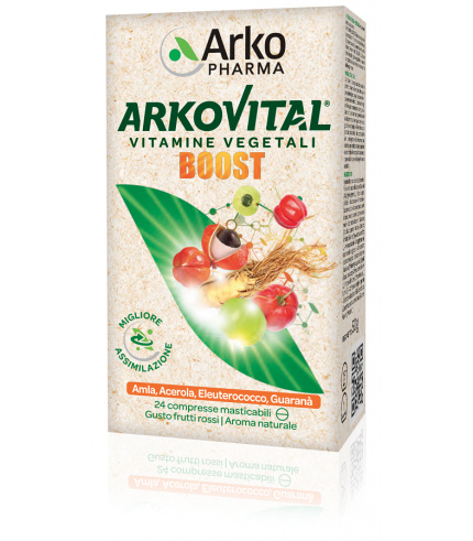 ARKOVITAL BOOST 24CPR