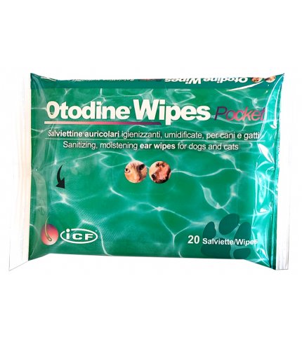 OTODINE WIPES POCKET 20PZ