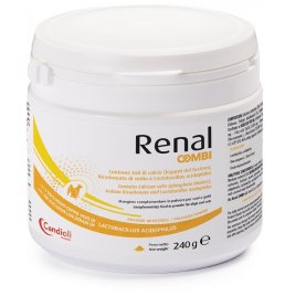 RENAL COMBI POLVERE 240G