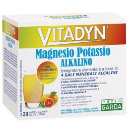 VITADYN MAGNESIO POTASS 30BUST