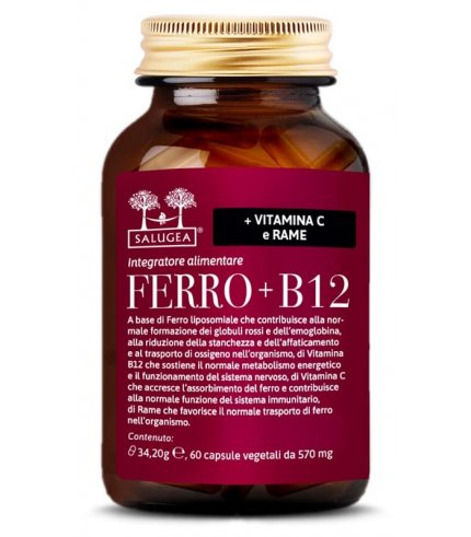 FERRO+B12 SALUGEA 60CPS