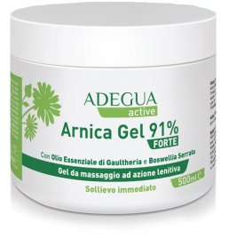 ADEGUA ARNICA PLUS 91% GEL EXT