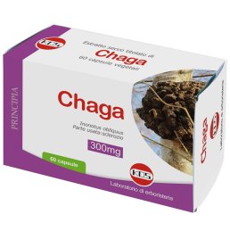 CHAGA FUNGO ES 60CPS CHAGA FUNGO ES 60CPS