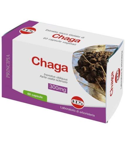 CHAGA FUNGO ES 60CPS