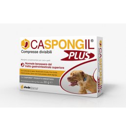 CASPONGIL PLUS 30CPR