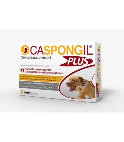 CASPONGIL PLUS 30CPR