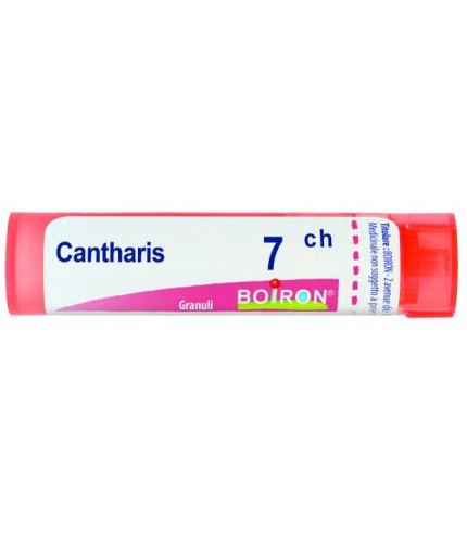 BO.CANTHARIS 7CH TUBO