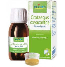 CRATAEGUS OXYACANTHA  TINTURA MADRE 60 ML