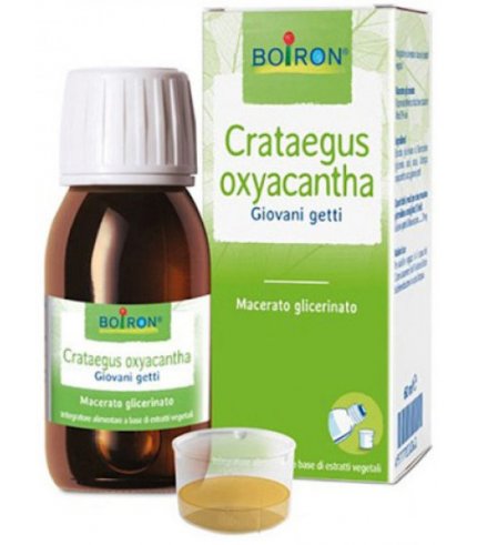 CRATAEGUS OXYACANTHA  TINTURA MADRE 60 ML