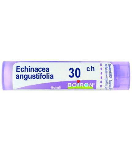 BO.ECHINACEA ANG.30CH TUBO