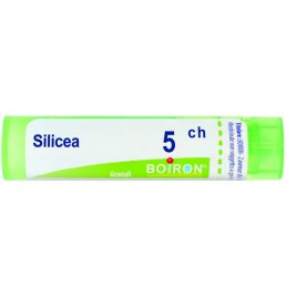 BO.SILICEA 5CH TUBO