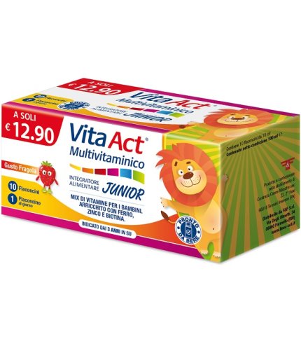 VITA ACT MULTIVITAMINICO J 10F