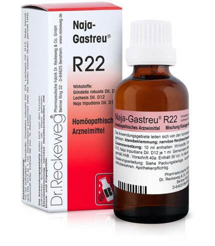 RECKEWEG R22 GOCCE 22ML