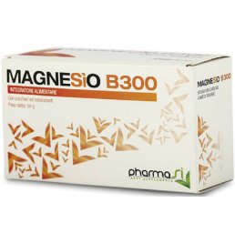 MAGNESIO B 300 30BUST