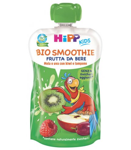 HIPP BIO SMOOT MELA/UV/KI120ML