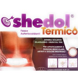 SHEDOL TERMICO CER 6PZ