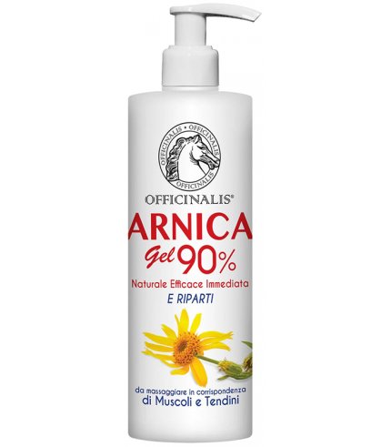 ARNICA GEL 90% 250ML