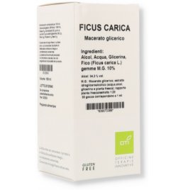 FICUS CARICA MG10% GOCCE 100ML