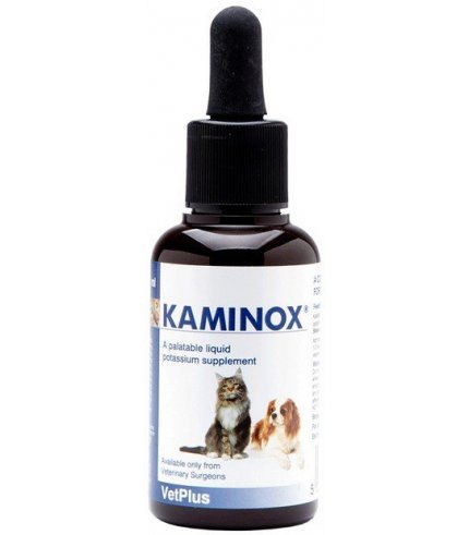 KAMINOX SCIROPPO 60 ML